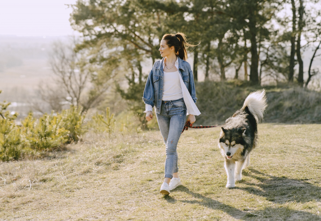 Valle de Bravo, Tepoztlán, Peña de Bernal y Malinalco son ideales para largas caminatas con tu perro