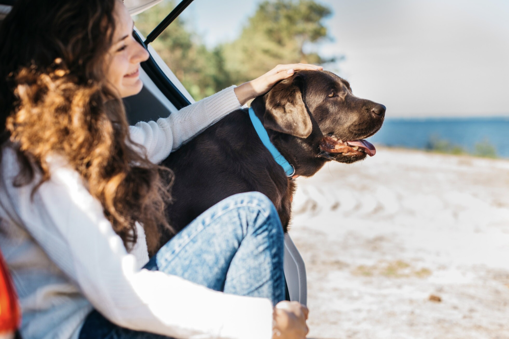 Playa del Carmen es uno de los destinos más amigables para vacacionar con tu perro