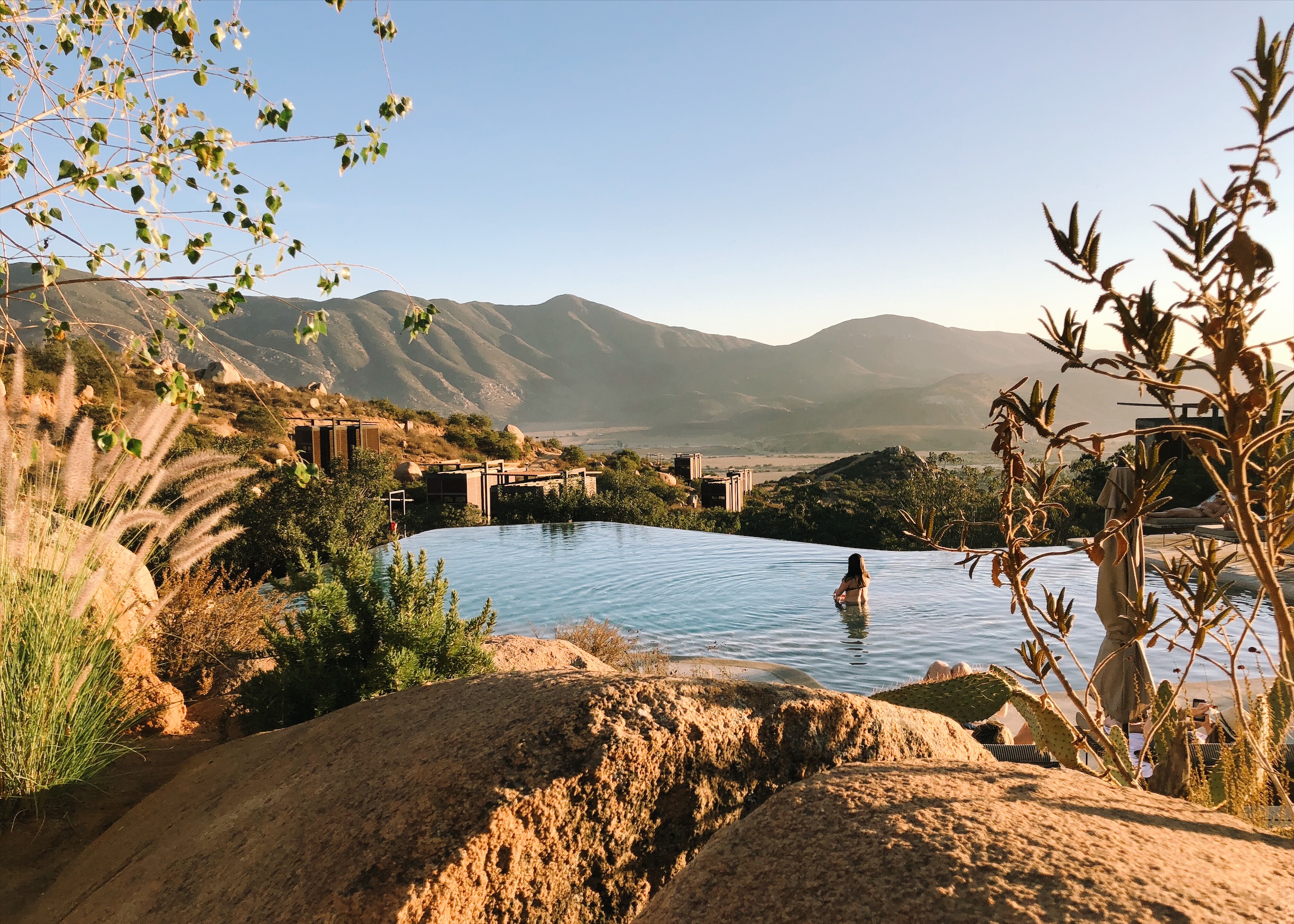 Valle de Guadalupe