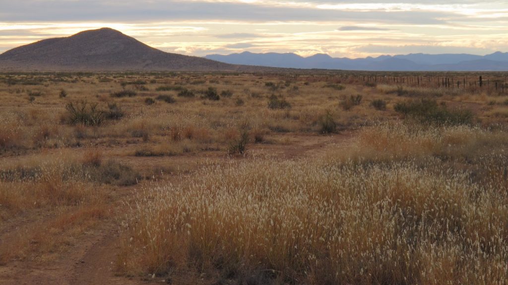 Desierto de Chihuahua
