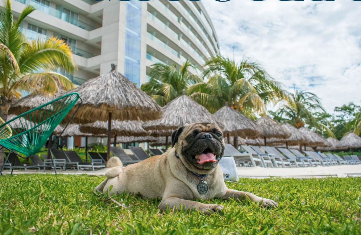 Mundo Imperial lanzó este verano 2025 su iniciativa “pet friendly”