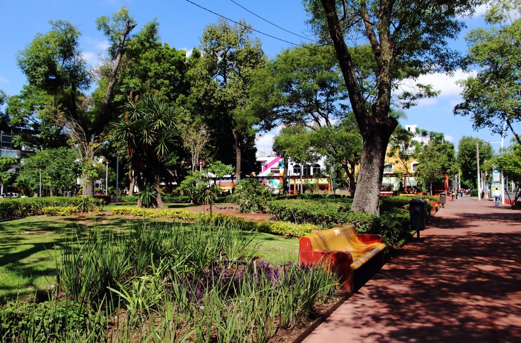Senderismo urbano: ¡Rutas verdes en CDMX, Monterrey y Guadalajara: Parque Metropolitano (Revolución)