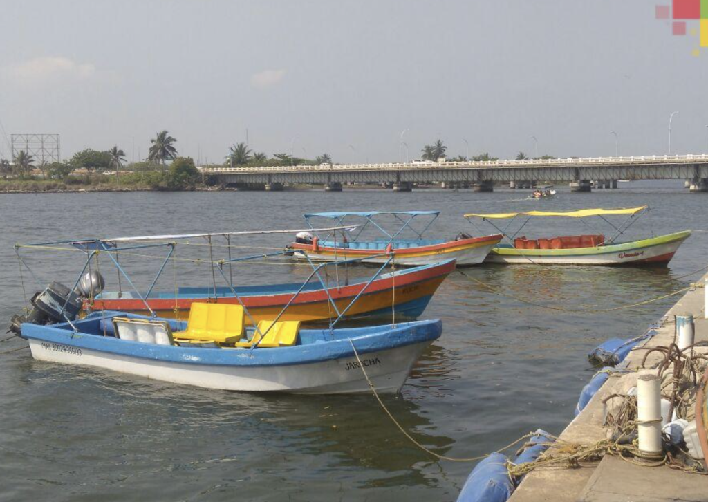 Paseo por El Estero