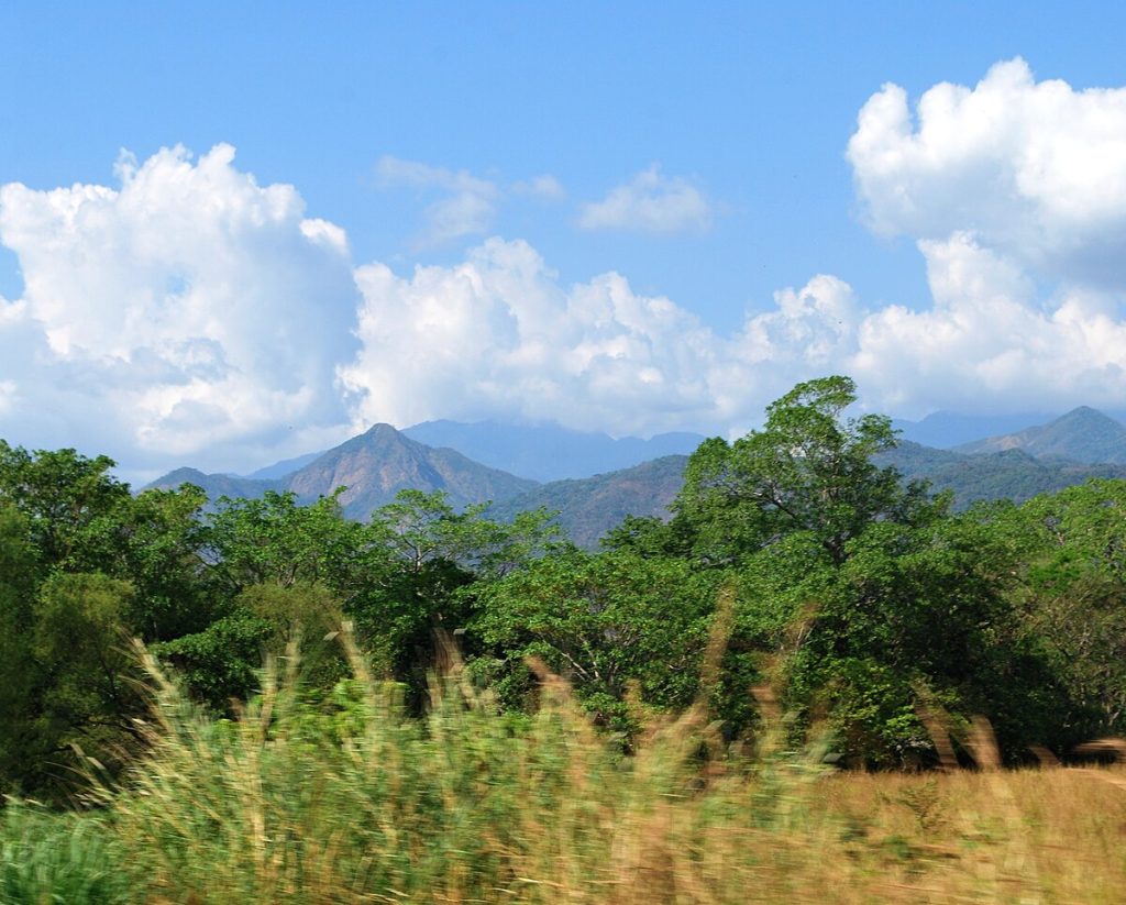 Ruta del café en Chiapas (Soconusco)