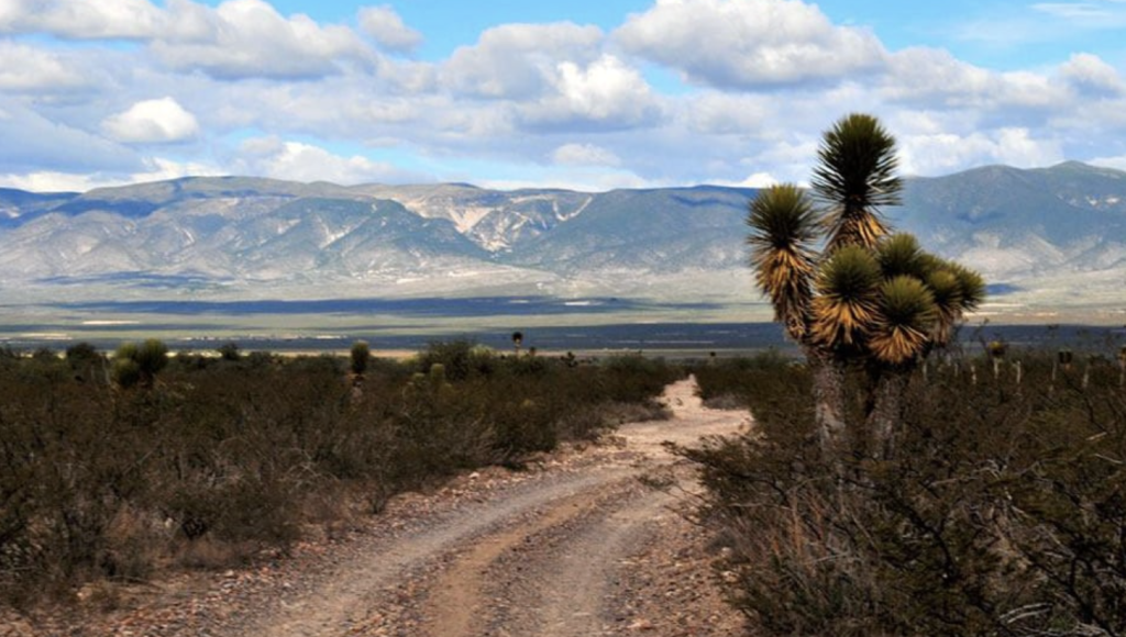 Desierto de Wirikuta en San Luis Potosí