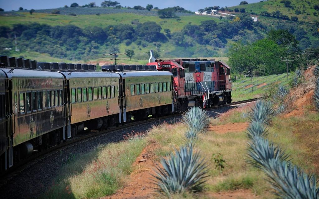 Más allá de Jalisco. ¡Otros destinos tequileros en México!
