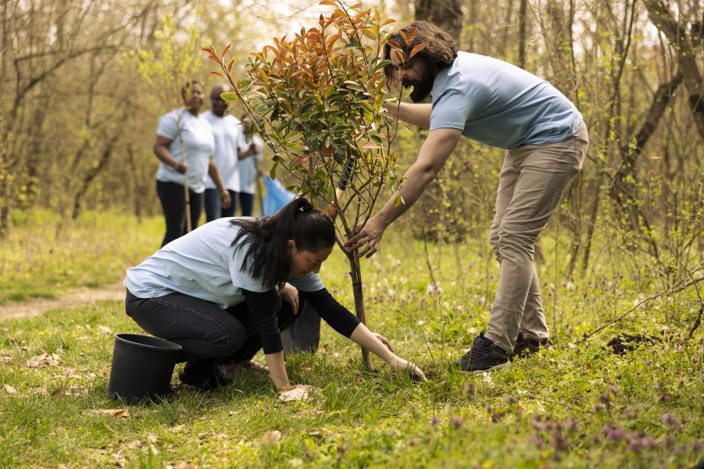 Apoya proyectos locales y voluntariado. Reforestación.