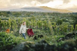 Viaje sostenible en julio 2025