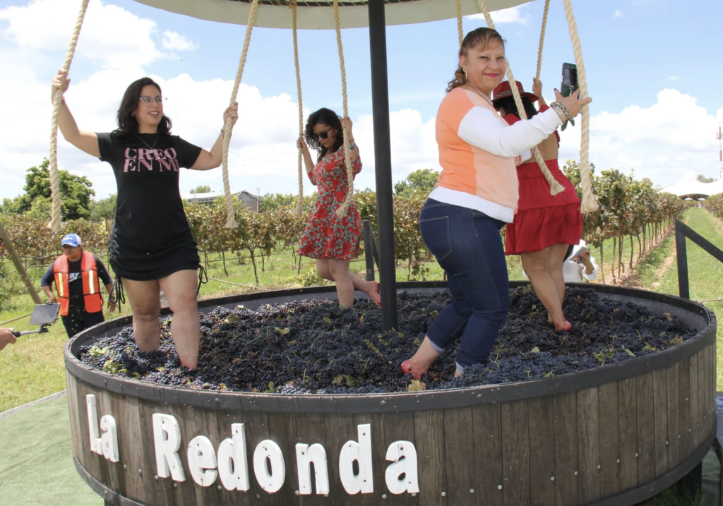 Viñedos La Redonda 50 aniversario en Querétaro
