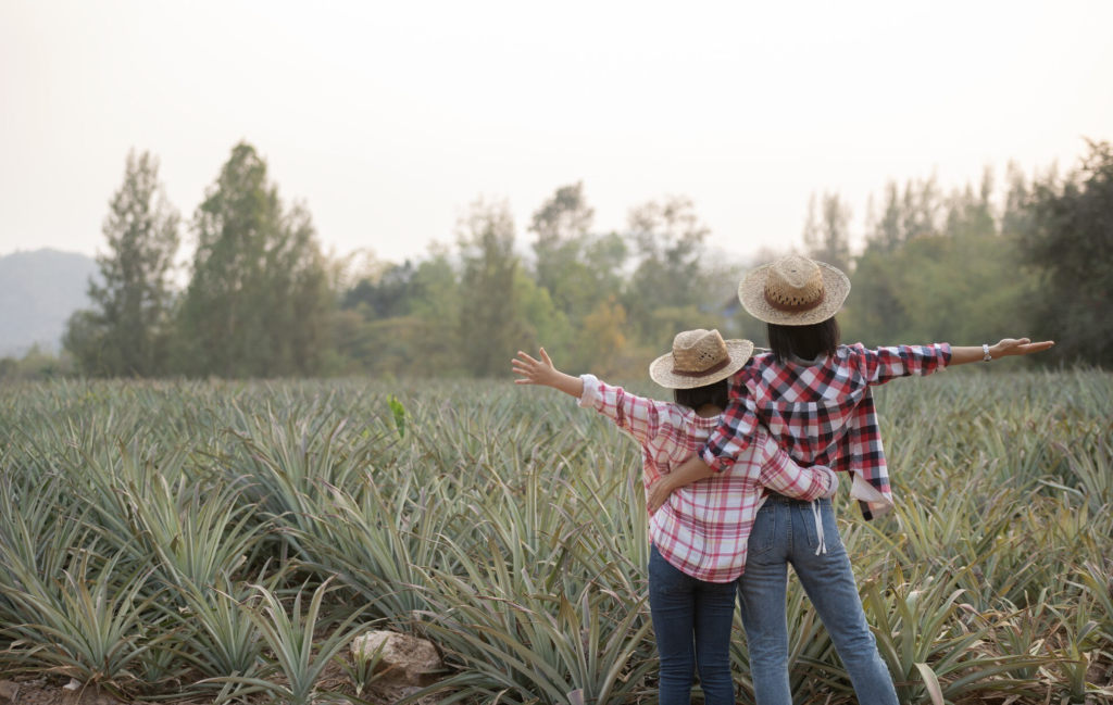 La Ruta del Agave en Manzanillo