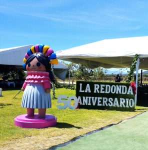 50 años de Viñedos La Redonda en Querétaro