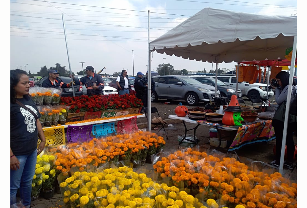 Central de Abasto: El paraíso para compradores al mayoreo