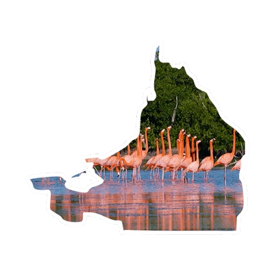 campeche-descubrecampeche-descubremexico-descubre-mexico- estado