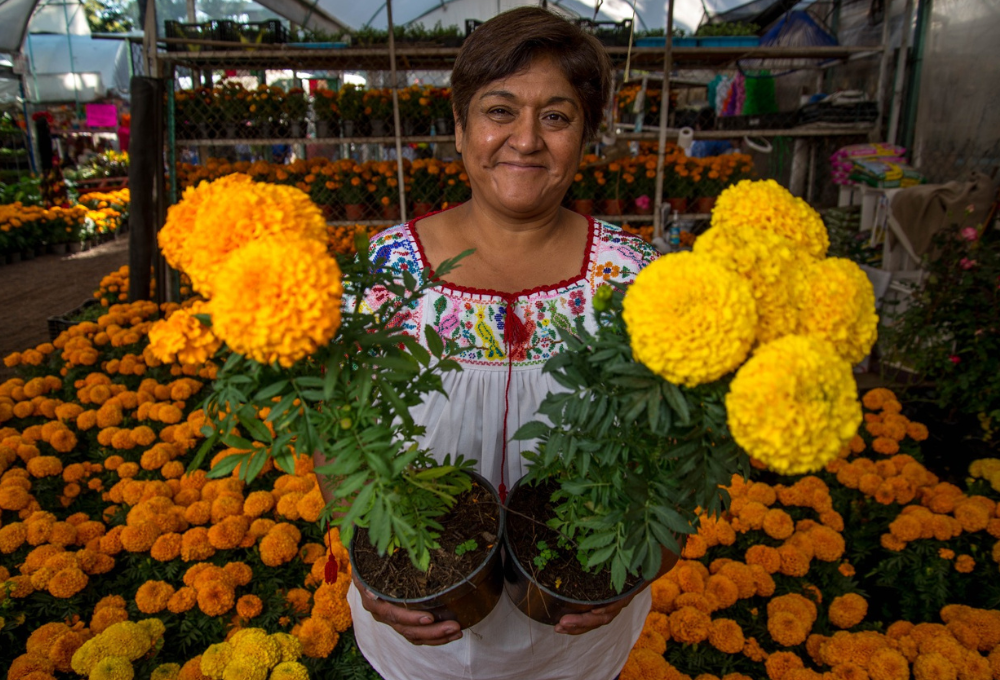 Mercado flores cempasúchil