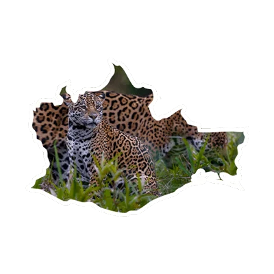 oaxaca-descubreoaxaca-descubremexico-descubre-mexico- estado