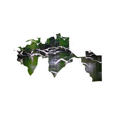 tabasco-descubretabasco-descubremexico-descubre-mexico- estado