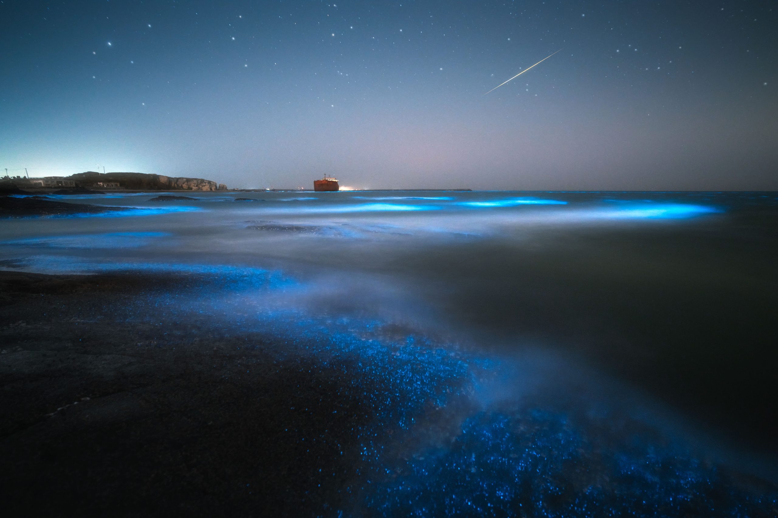 Playas con bioluminiscencia en la península de Yucatán: ¡Guía para vivir este espectáculo natural!