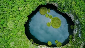 Zacatón: el cenote más profundo del mundo