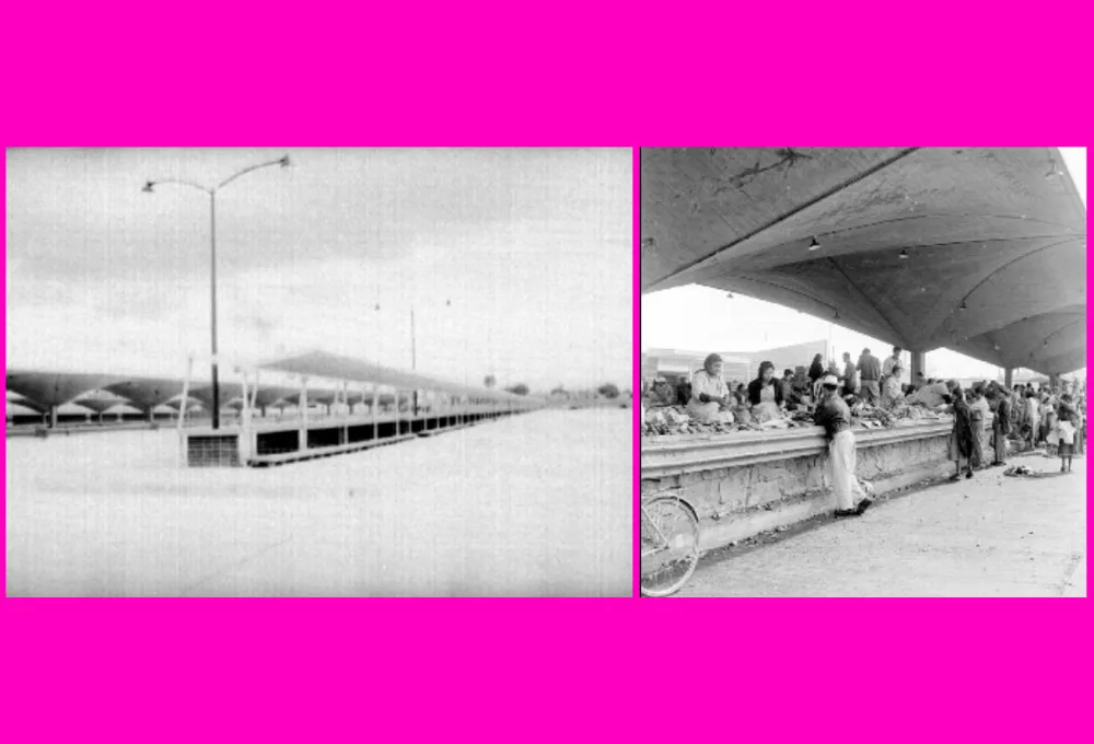 La historia fascinante del Mercado de Jamaica en la Ciudad de México