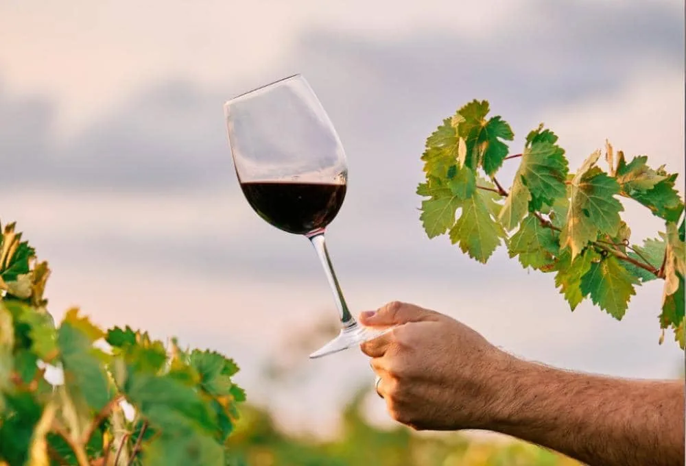 El Festival del Vino Queretano 2025 promete ser la mejor excusa para la convivencia y los buenos momentos