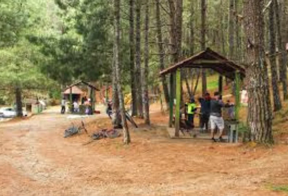 Rutas de senderismo en Oaxaca: itinerarios detallados para disfrutar en familia esta temporada