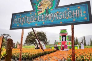Ruta del Cempasúchil, invita a transitar por un camino lleno de vida, color y respeto a nuestros seres queridos en el Día de Muertos