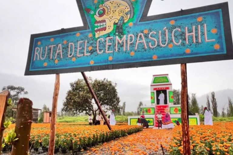 Ruta del Cempasúchil, invita a transitar por un camino lleno de vida, color y respeto a nuestros seres queridos en el Día de Muertos