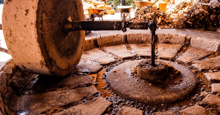 Las tinas de mezcal son el corazón del proceso artesanal que da vida a una de las bebidas más emblemáticas de México. Descubre cómo se elaboran, por qué son clave en la fermentación y cómo cada material aporta aromas únicos a este destilado ancestral.