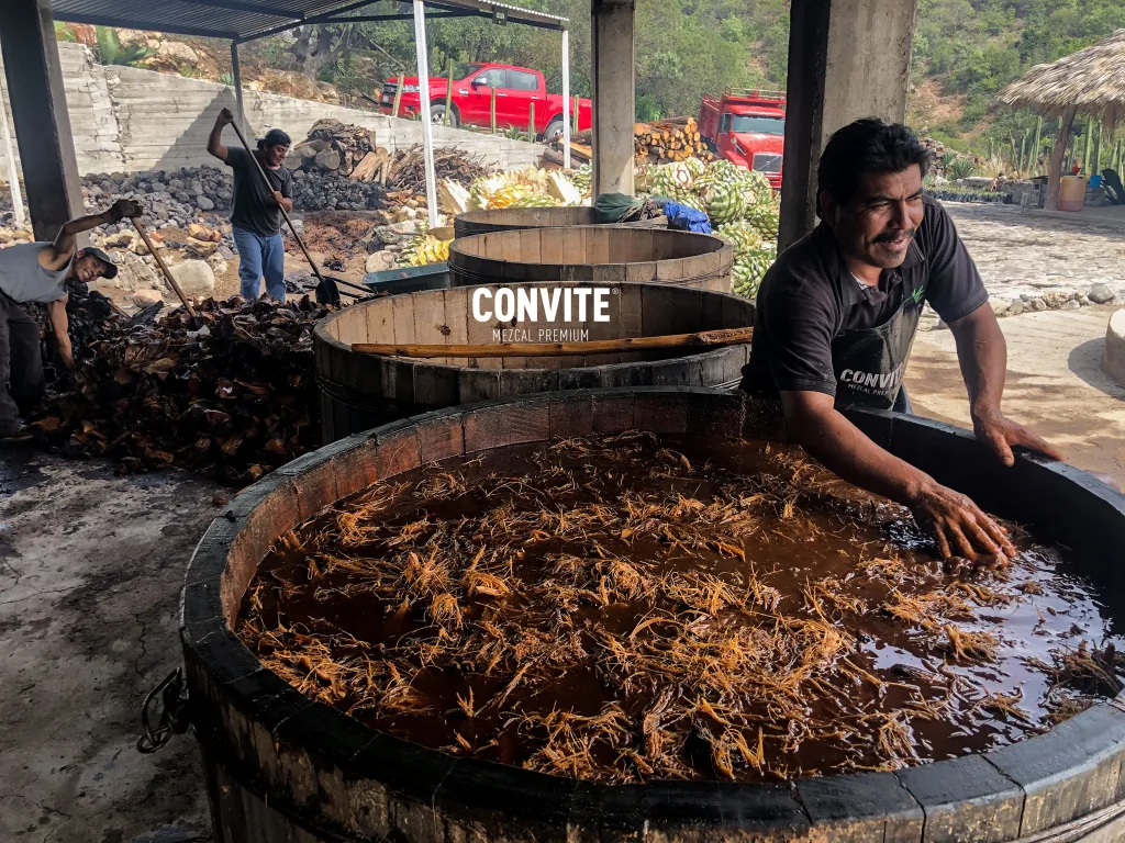 Las tinas de mezcal son el corazón del proceso artesanal que da vida a una de las bebidas más emblemáticas de México. Descubre cómo se elaboran, por qué son clave en la fermentación y cómo cada material aporta aromas únicos a este destilado ancestral.
