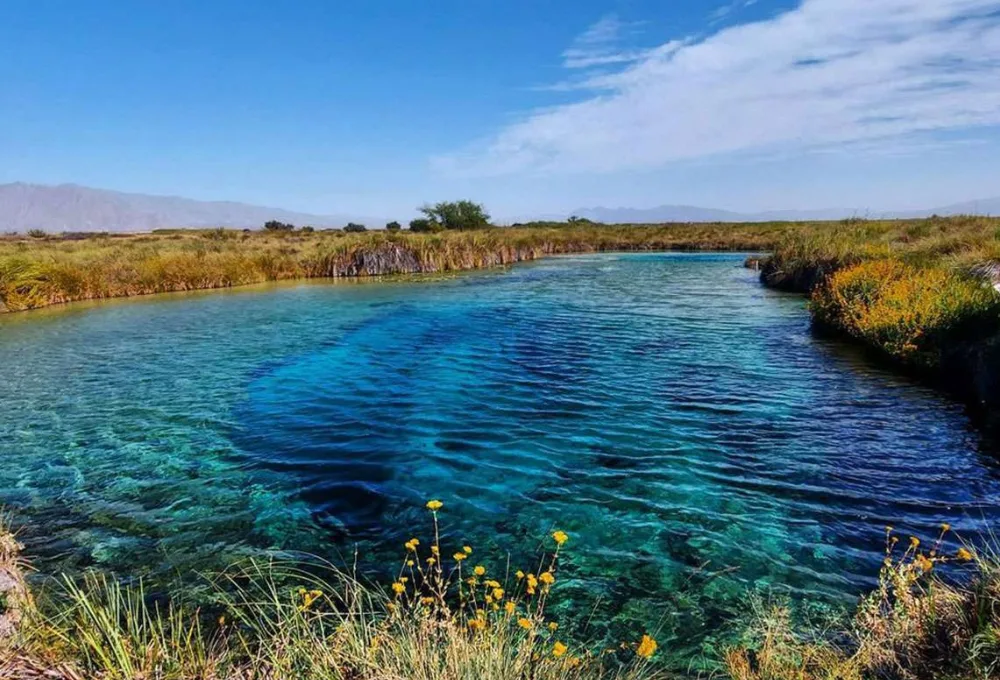 Destino, Cuatro Ciénegas
