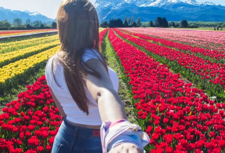 ¿Qué hacer en Buenos Aires en primavera? (¡Planes imperdibles para viajeros mexicanos!)