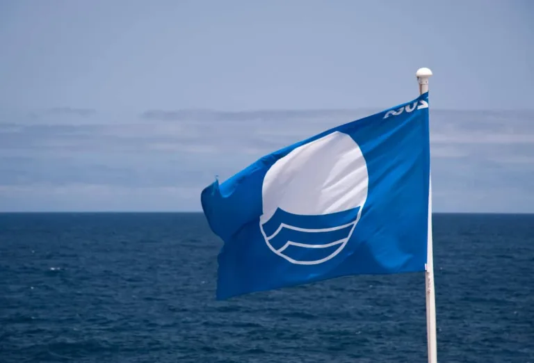 Certificación Blue Flag, avala los cuidados al medio ambiente en las playas mexicanas