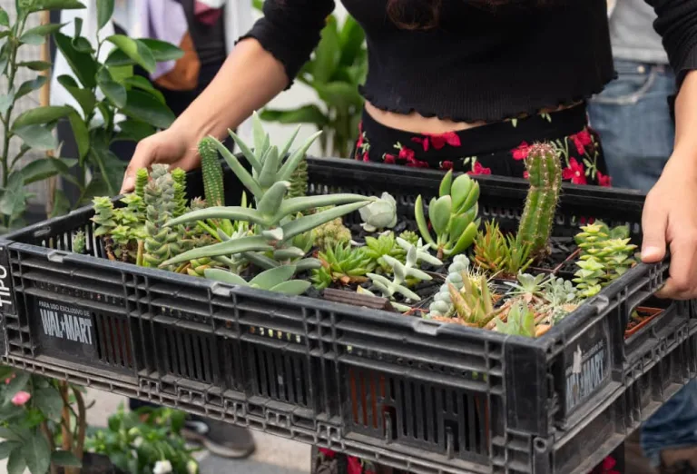 PlantFest 2025 en Puebla