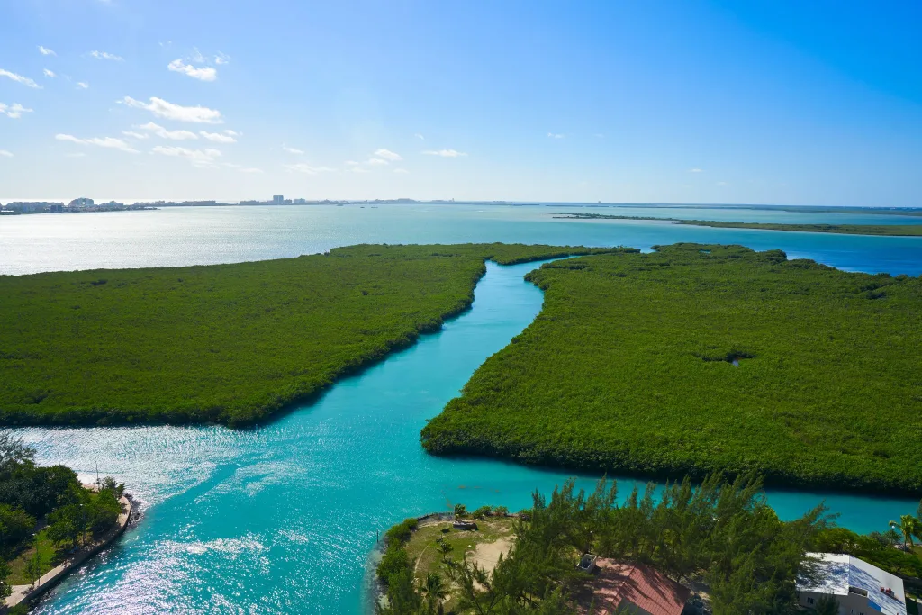 La Laguna de Nichupté es uno de los tesoros naturales más impresionantes de Cancún. Entre manglares, aves exóticas y aguas turquesas, este destino invita a vivir una experiencia de ecoturismo y aventura que revela el lado más natural del Caribe mexicano.