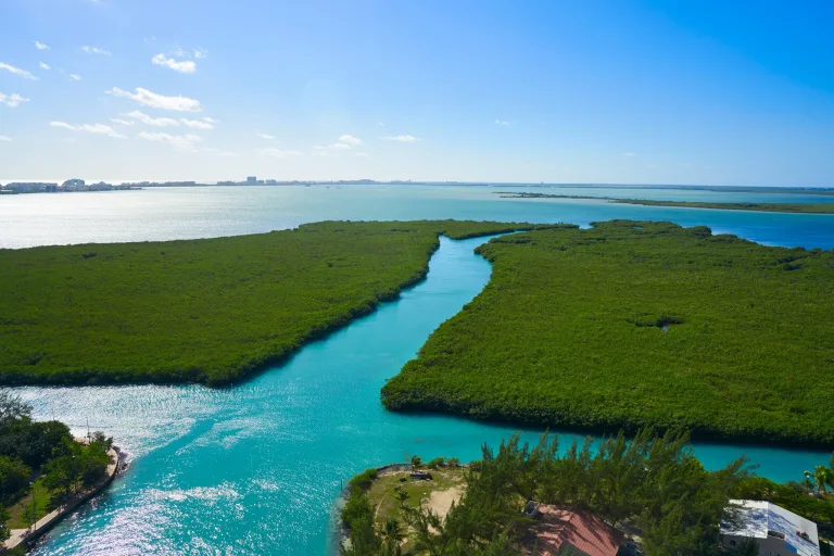 La Laguna de Nichupté es uno de los tesoros naturales más impresionantes de Cancún. Entre manglares, aves exóticas y aguas turquesas, este destino invita a vivir una experiencia de ecoturismo y aventura que revela el lado más natural del Caribe mexicano.