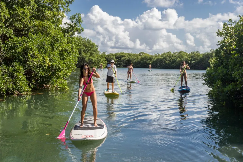 La Laguna de Nichupté es uno de los tesoros naturales más impresionantes de Cancún. Entre manglares, aves exóticas y aguas turquesas, este destino invita a vivir una experiencia de ecoturismo y aventura que revela el lado más natural del Caribe mexicano.