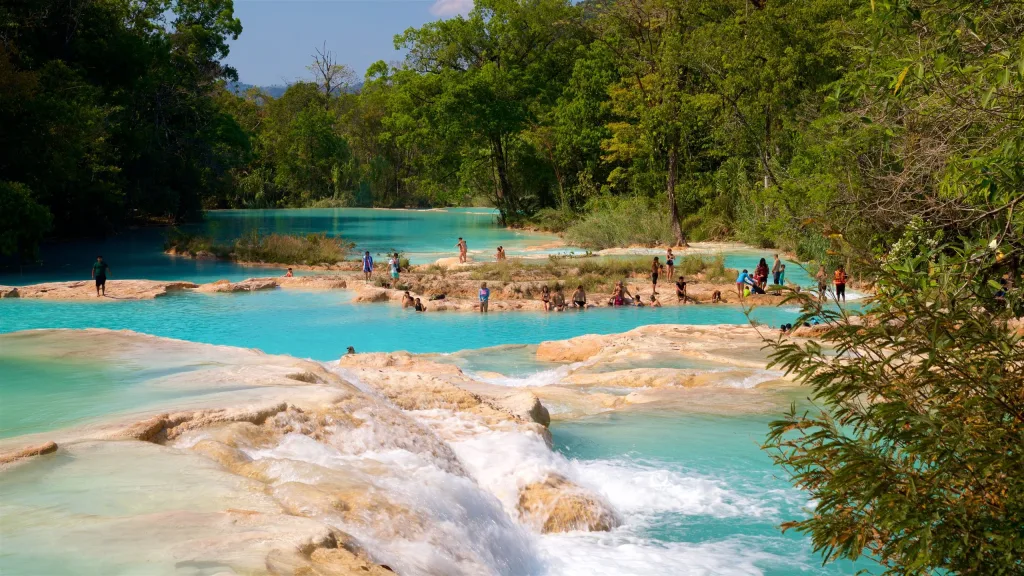Descubre las impresionantes cascadas de Agua Azul en Chiapas, un destino natural de ensueño que cautiva a viajeros con sus aguas turquesas y paisajes exuberantes.