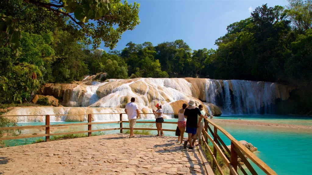 Descubre las impresionantes cascadas de Agua Azul en Chiapas, un destino natural de ensueño que cautiva a viajeros con sus aguas turquesas y paisajes exuberantes.