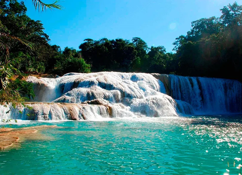 Descubre las impresionantes cascadas de Agua Azul en Chiapas, un destino natural de ensueño que cautiva a viajeros con sus aguas turquesas y paisajes exuberantes.