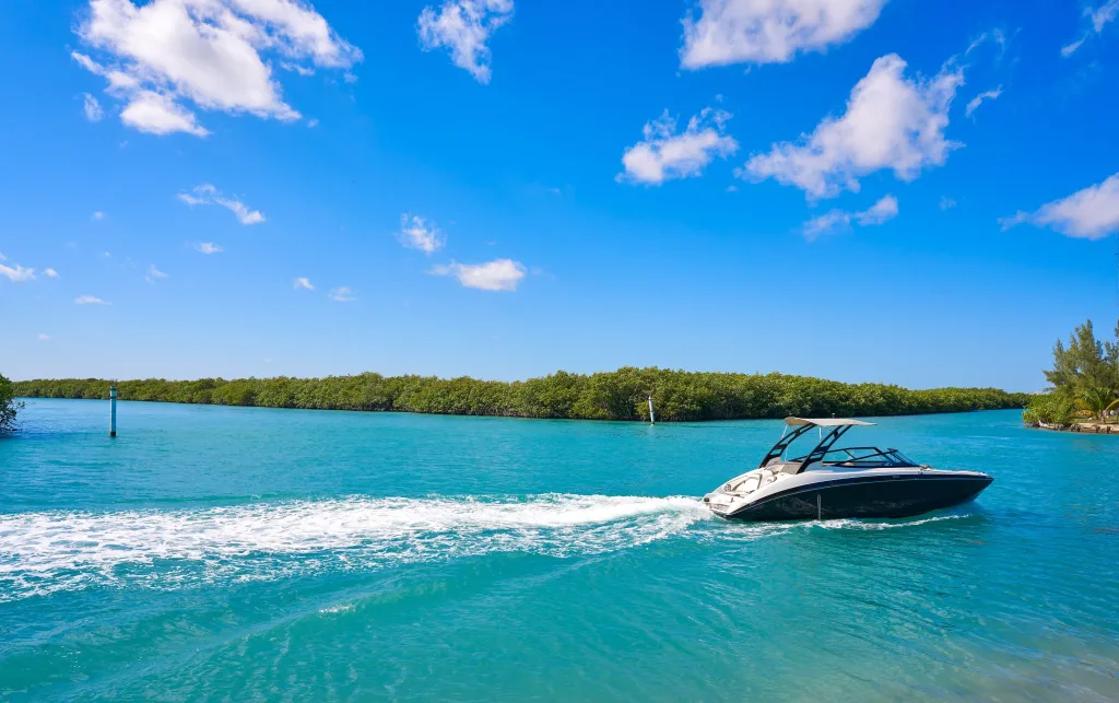 La Laguna de Nichupté es uno de los tesoros naturales más impresionantes de Cancún. Entre manglares, aves exóticas y aguas turquesas, este destino invita a vivir una experiencia de ecoturismo y aventura que revela el lado más natural del Caribe mexicano.