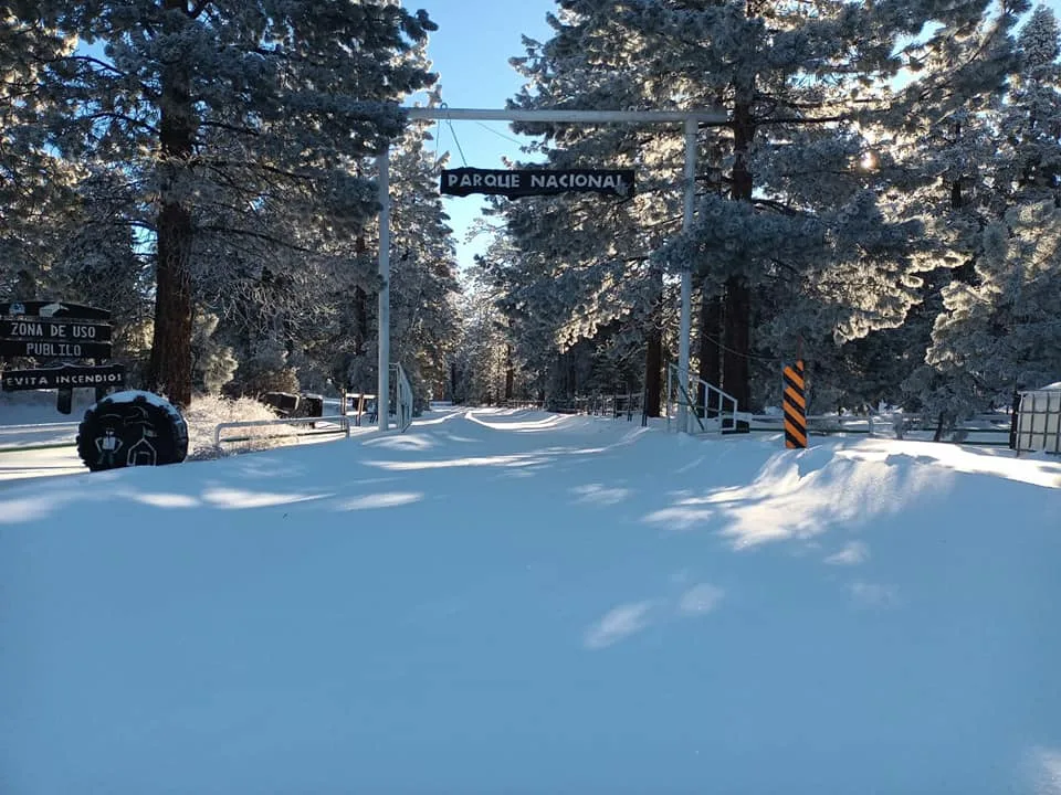 México también tiene paisajes nevados dignos de postal. Conoce los mejores lugares para ver nieve en México, las experiencias que ofrecen y por qué deberías visitarlos este invierno.