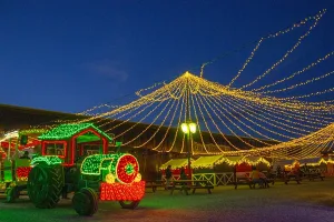 ¡Ya tiene fecha el festival navideño que ilumina Atlixco, Puebla!