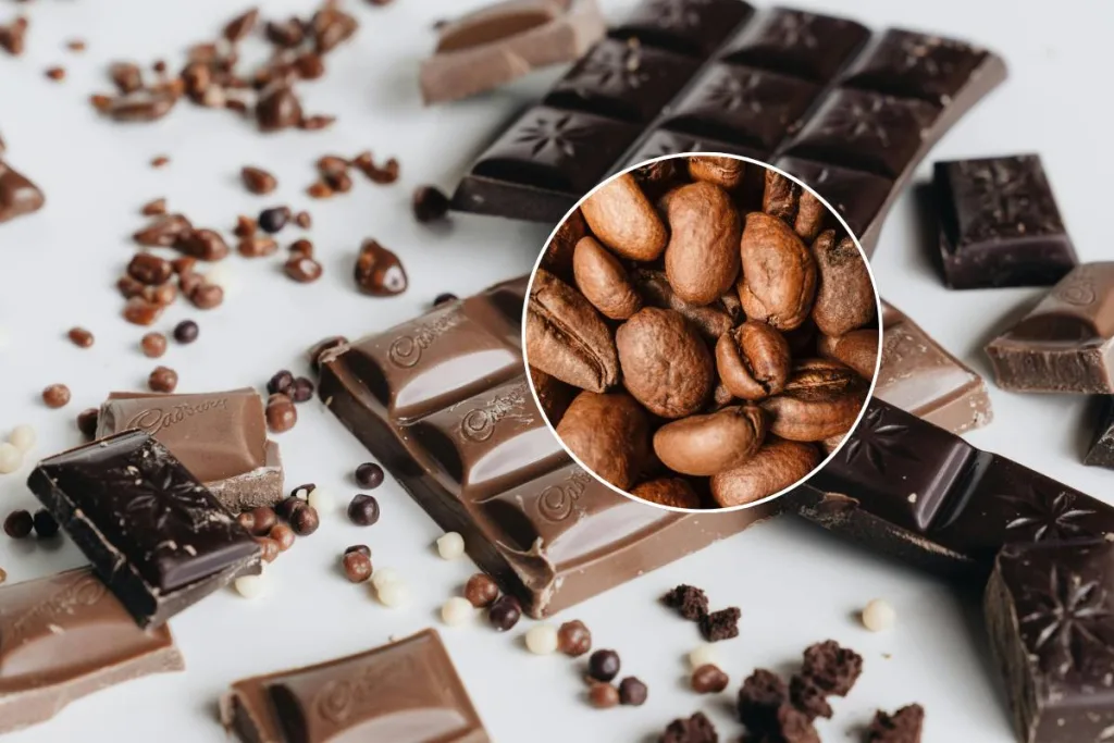 Descubre las mejores actividades para disfrutar un fin de semana lleno de diversión en la Ciudad de México. Desde arte y cultura hasta gastronomía y vida nocturna, esta guía te ayudará a planear un viaje inolvidable en la capital mexicana, con opciones para todos los gustos y estilos.