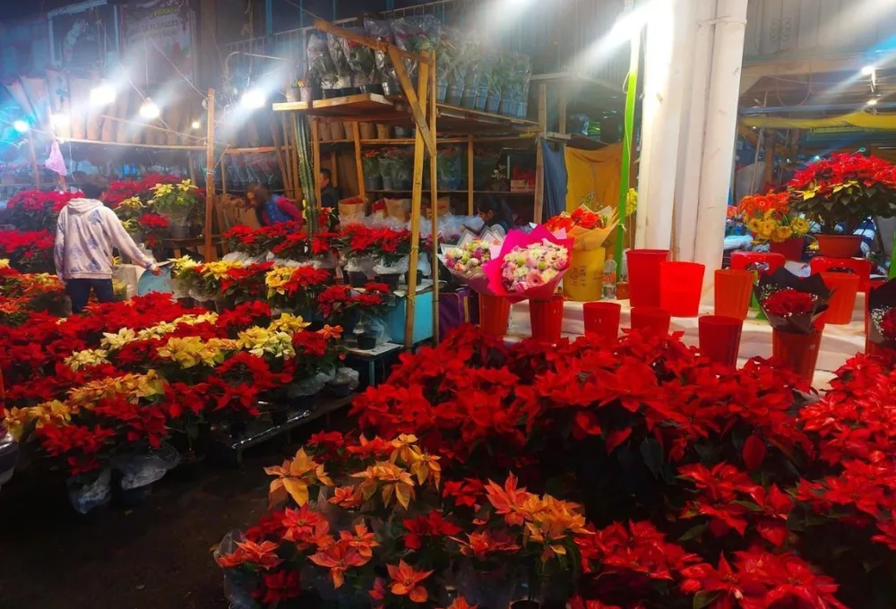 Venta de nochebuenas en Mercado de Jamaica, en la CDMX.