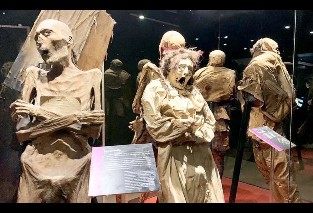 ¿Las Momias de Guanajuato van a desaparecer? Informe del INAH revela grave amenaza