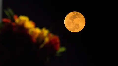La Luna del Castor 2025 iluminará el cielo con su máximo esplendor este 5 de noviembre. Descubre a qué hora verla en México, su significado espiritual y por qué es uno de los fenómenos más esperados por los amantes de la naturaleza y los viajes.
