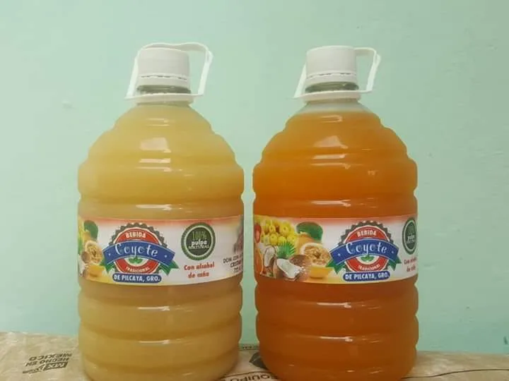 El Coyote de Pilcaya es una bebida artesanal de Guerrero que combina tradición, historia y sabor único. Descubre cómo se elabora, dónde probarlo y por qué se ha convertido en un símbolo del orgullo guerrerense.