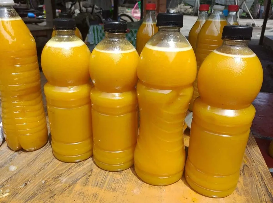 El Coyote de Pilcaya es una bebida artesanal de Guerrero que combina tradición, historia y sabor único. Descubre cómo se elabora, dónde probarlo y por qué se ha convertido en un símbolo del orgullo guerrerense.