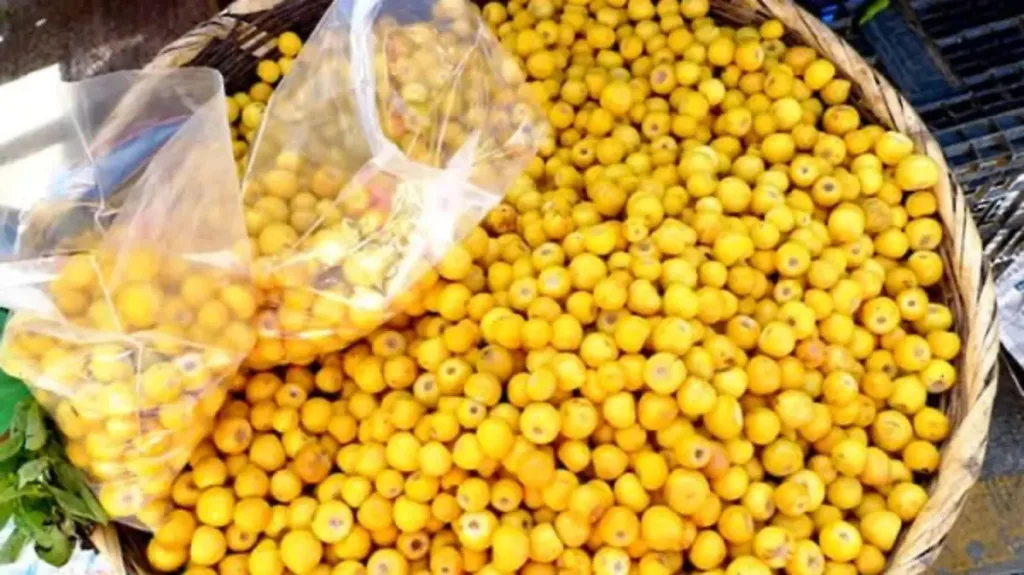 El Coyote de Pilcaya es una bebida artesanal de Guerrero que combina tradición, historia y sabor único. Descubre cómo se elabora, dónde probarlo y por qué se ha convertido en un símbolo del orgullo guerrerense.