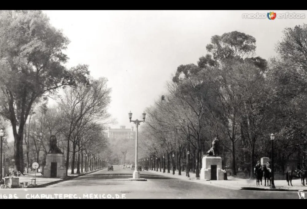 Av. Paseo de la Reforma. Historia.